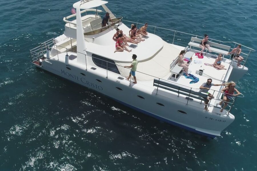 Tenerife: Marine-Life Tour with Transfer, Buffet and Drinks - A Three-Hour Cruise From Puerto Colón