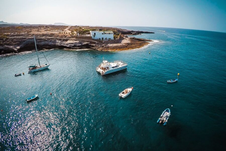 Tenerife: Marine-Life Tour with Transfer, Buffet and Drinks - FAQ