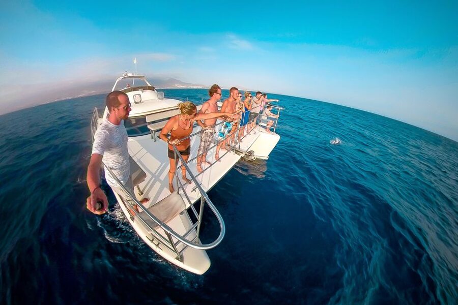 Tenerife: Marine-Life Tour with Transfer, Buffet and Drinks - Useful Booking and Packing Advice