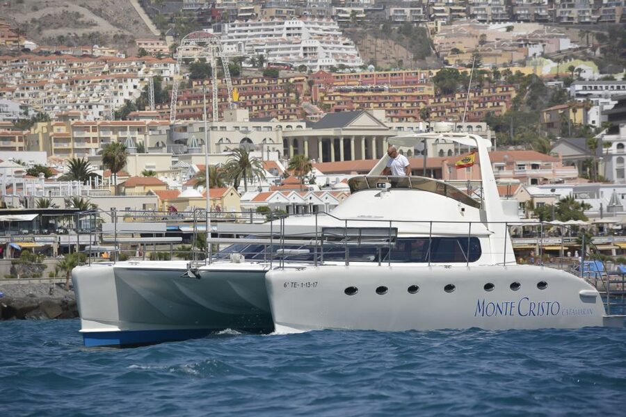 Tenerife: Marine-Life Tour with Transfer, Buffet and Drinks - A Bay Stop for Swimming and Snorkeling