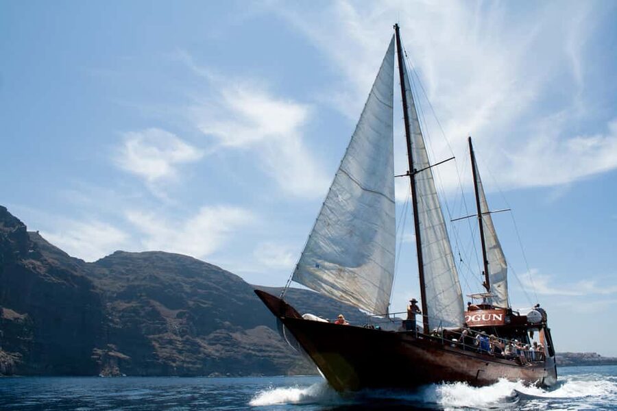 Tenerife:Respectful Whale Watching, Pirate Ship, & Swim - The swimming stop adds a second act