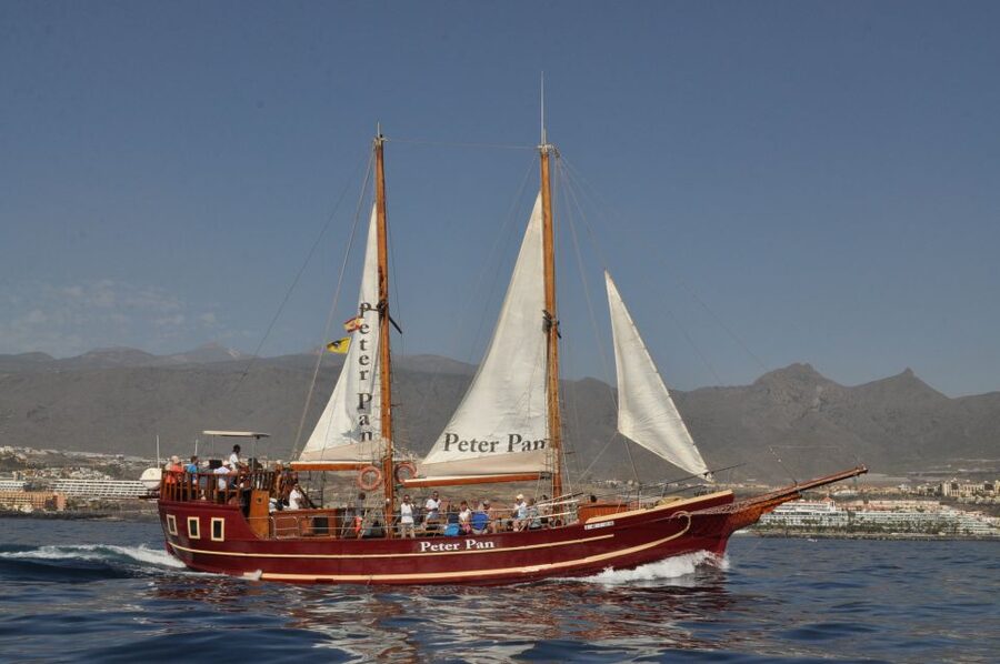 Tenerife:Respectful Whale Watching, Pirate Ship, & Swim - How the pickup and timing work