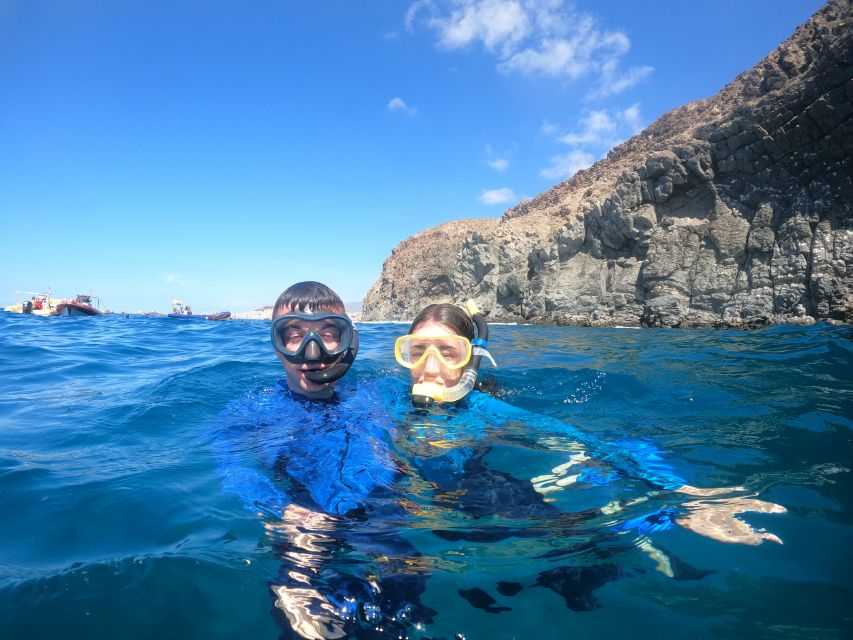 Tenerife: Snorkeling Trip in a Turtle Habitat - Booking flexibility and timing
