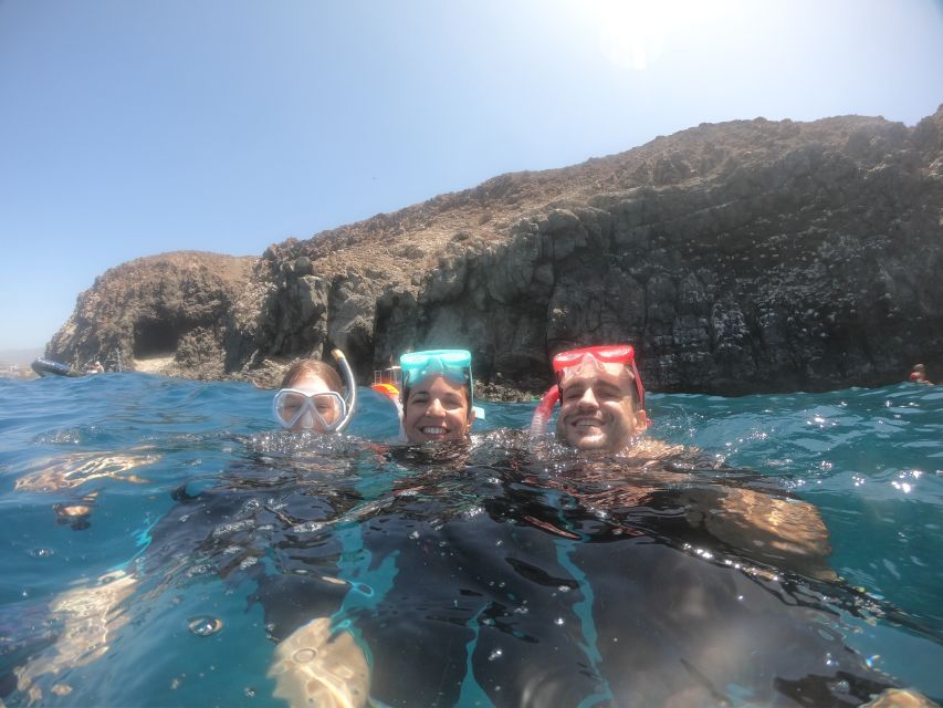 Tenerife: Snorkeling Trip in a Turtle Habitat - What to bring and what to leave behind
