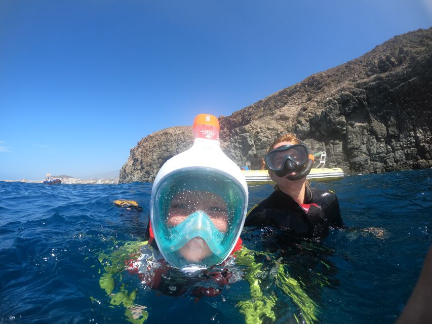 Tenerife: Snorkeling Trip in a Turtle Habitat - The 15-minute boat ride along Tenerife’s coast