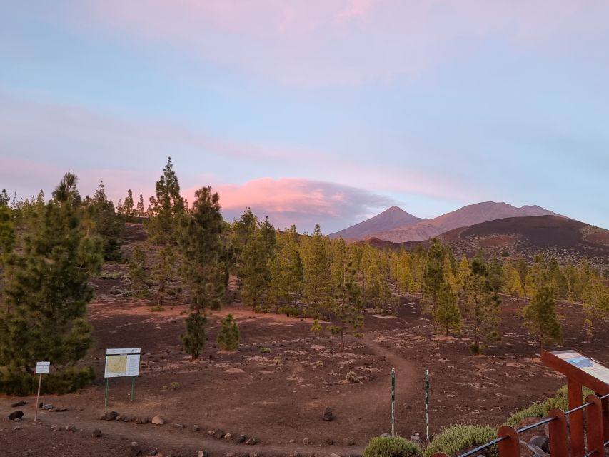 Tenerife: Sunset and Stargazing at Teide National Park - What the 12-inch telescope can show you