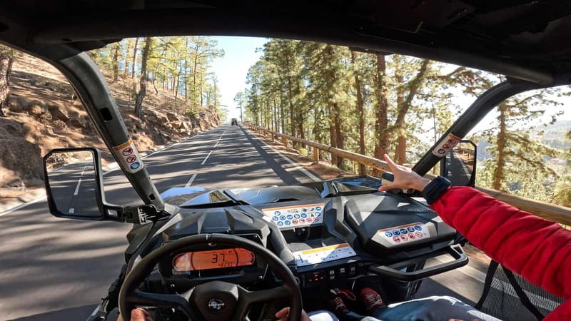Tenerife: Teide National Park Guided Buggy Tour - Reaching Teide at 2,200 meters