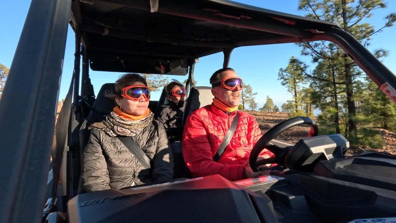 Tenerife: Teide National Park Guided Buggy Tour - How good is the $221 price?