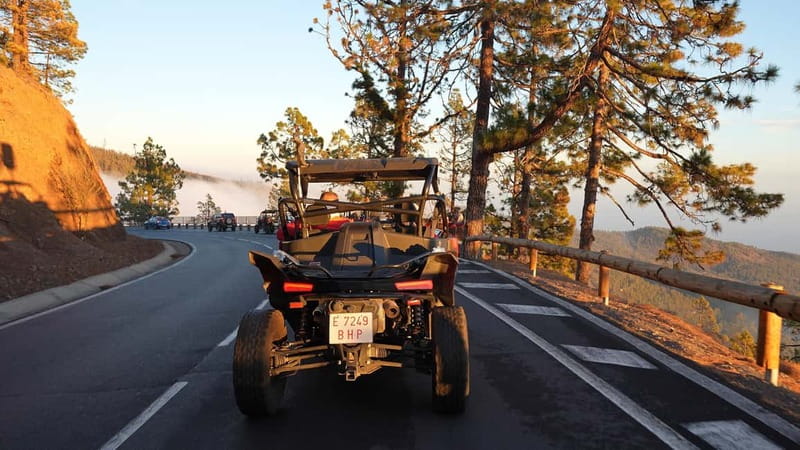 Tenerife: Teide National Park Guided Buggy Tour - Who will enjoy this most?