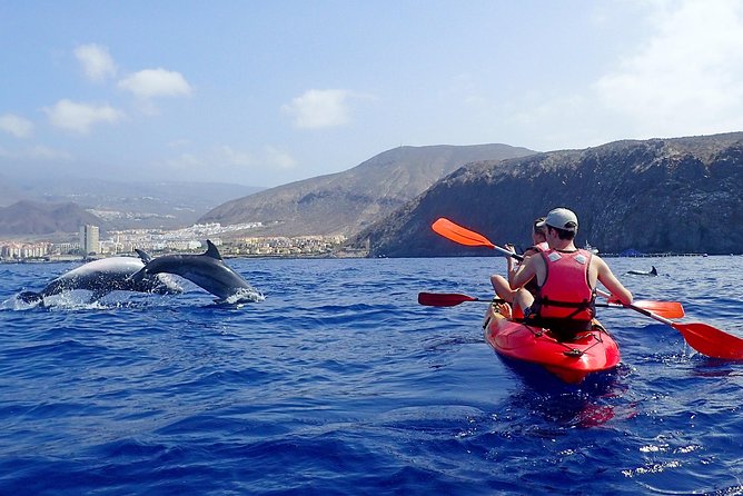 Tenerife: Turtle & Dolphin Kayak Tour with Snorkel & Wetsuit - Setting out from Los Cristianos