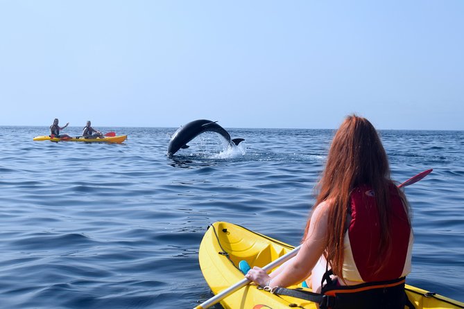 Tenerife: Turtle & Dolphin Kayak Tour with Snorkel & Wetsuit - Looking for dolphins and sea turtles