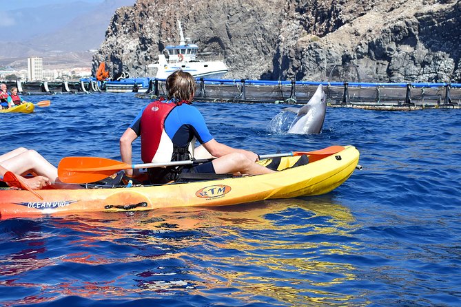 Tenerife: Turtle & Dolphin Kayak Tour with Snorkel & Wetsuit - The paddle back and the Mount Teide view