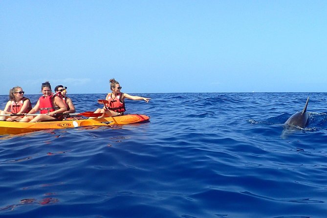 Tenerife: Turtle & Dolphin Kayak Tour with Snorkel & Wetsuit - Guides make a major difference