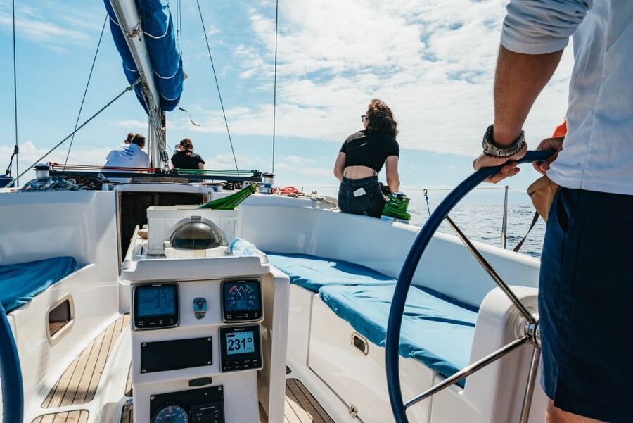 Tenerife: Whale & Dolphin Watching with Drinks and Snacks - Is $77 a Fair Price?