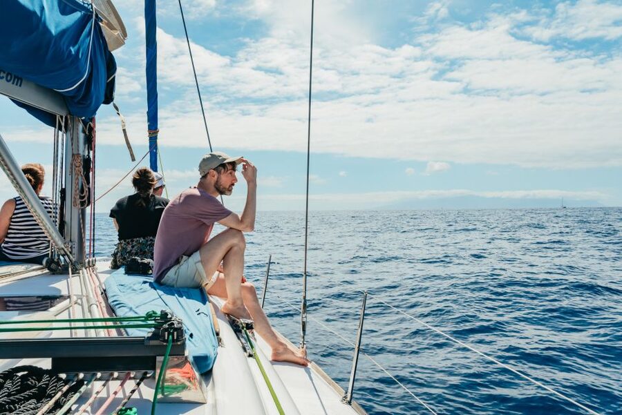 Tenerife: Whale & Dolphin Watching with Drinks and Snacks - Who Will Enjoy This Boat Trip?