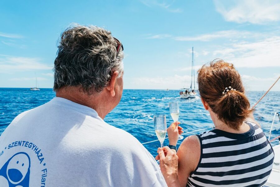 Tenerife: Whale & Dolphin Watching with Drinks and Snacks - Practical Details Before You Book