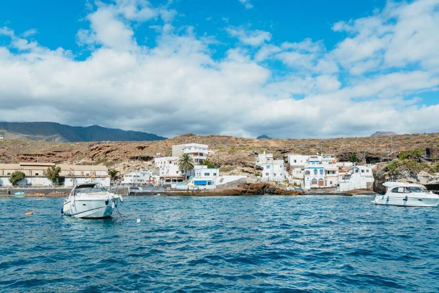 Tenerife: Whale & Dolphin Watching with Drinks and Snacks - Should You Book the Tenerife Whale Watching Tour?