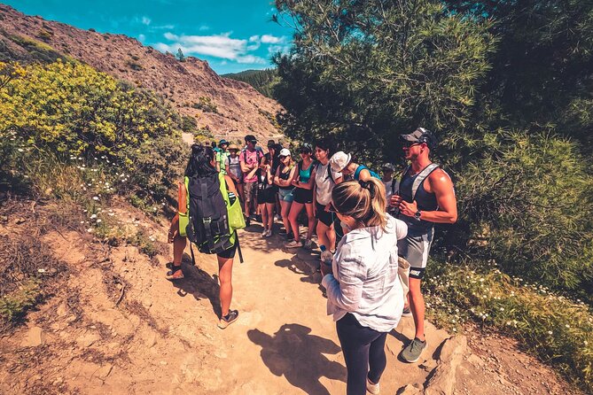 The Volcano Heart Tour: Hiking, Tasting and Sunset Experience - Cruz de Tejeda brings in food and mountain culture