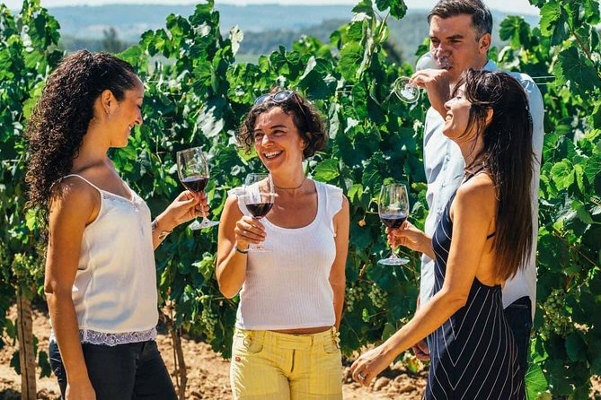 Toledo Tour & Vineyard Walk with Wine Tasting from Madrid - Meeting in central Madrid at 9:00