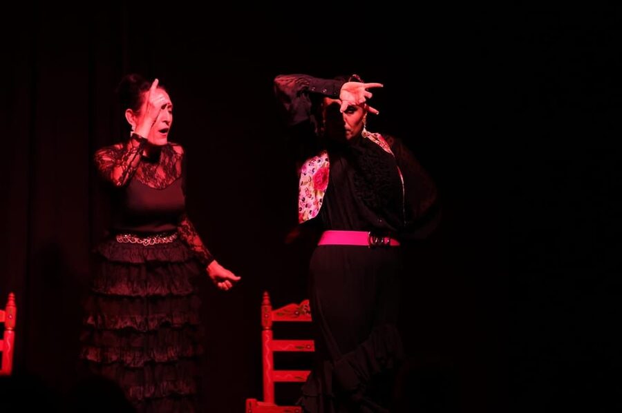 Valencia: Authentic Flamenco Show Entry Ticket - A one-hour program with guitar, song, and dance