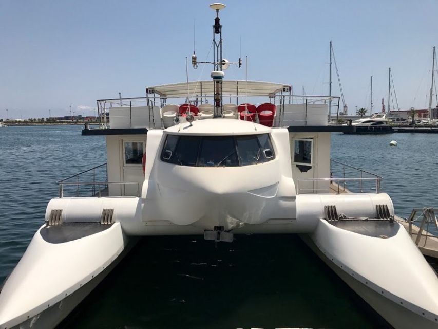 Valencia: Catamaran Cruise, Paella Lunch and Swim Stop - Key Points at a Glance