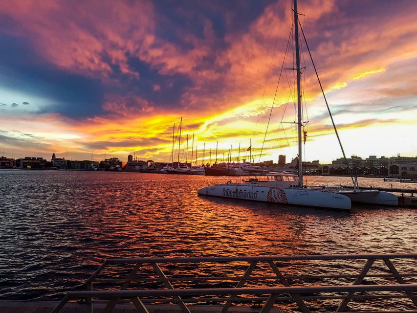 Valencia: Catamaran Cruise with Sunset Option - Who should book this cruise