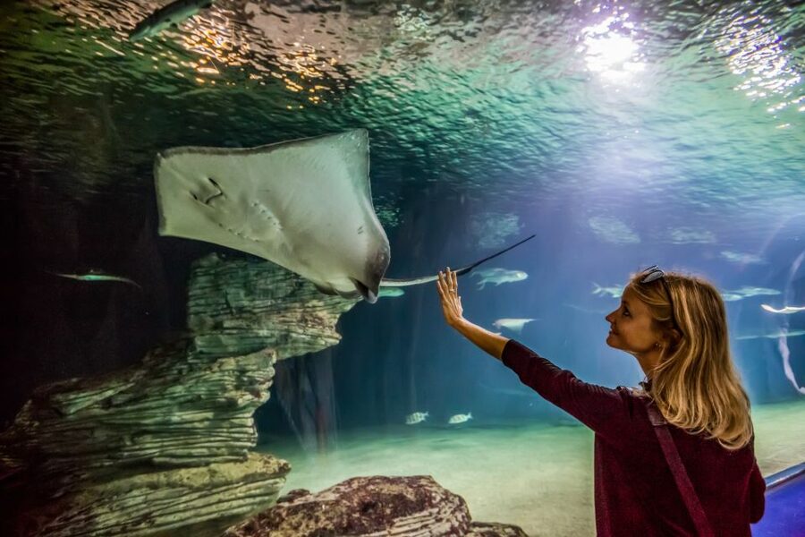 Valencia: Oceanogràfic Entry Ticket - Who will enjoy Oceanogràfic most?