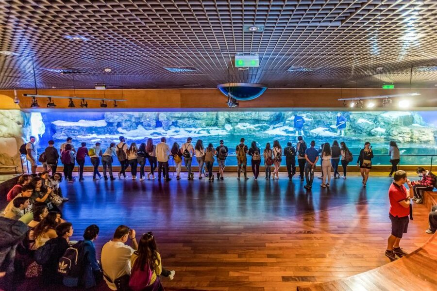 Valencia: Oceanogràfic Entry Ticket - The underground aquariums are the heart of the visit