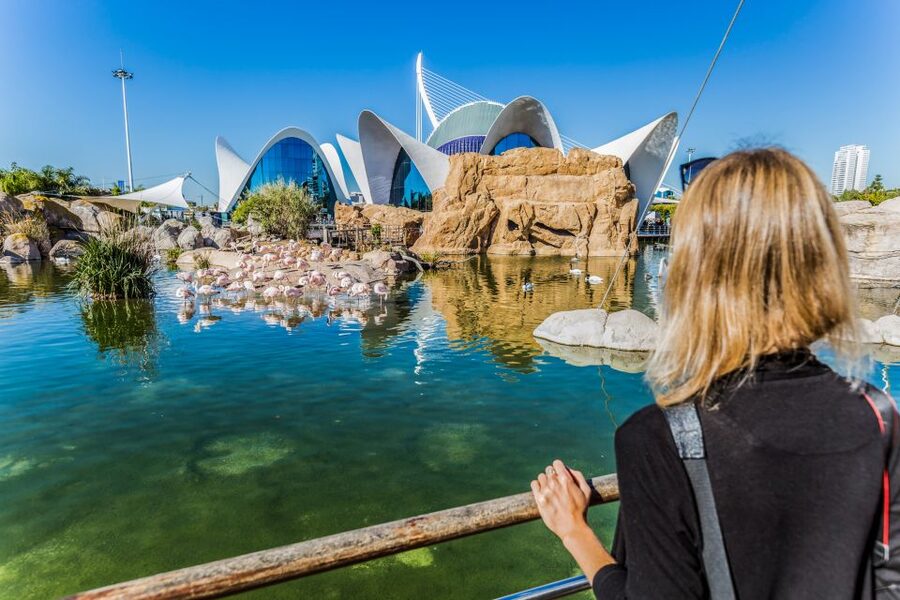 Valencia: Oceanogràfic Entry Ticket - Crowds change the best time to visit