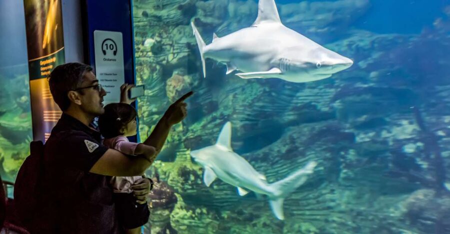 Valencia: Oceanogràfic Entry Ticket - Begin at the City of Arts and Sciences