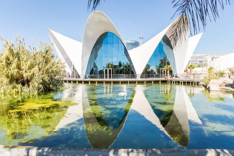 Valencia: Oceanogràfic, Hemisfèric & Science Museum Combo - Hemisfèric turns the building into part of the show