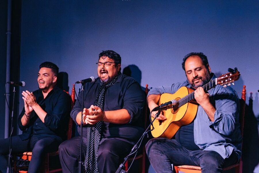 Valencia: Palosanto Flamenco Show Ticket - Key points at a glance