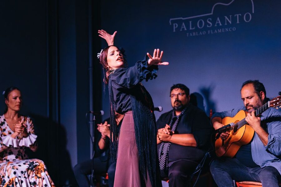 Valencia: Palosanto Flamenco Show Ticket - Is $25 good value?