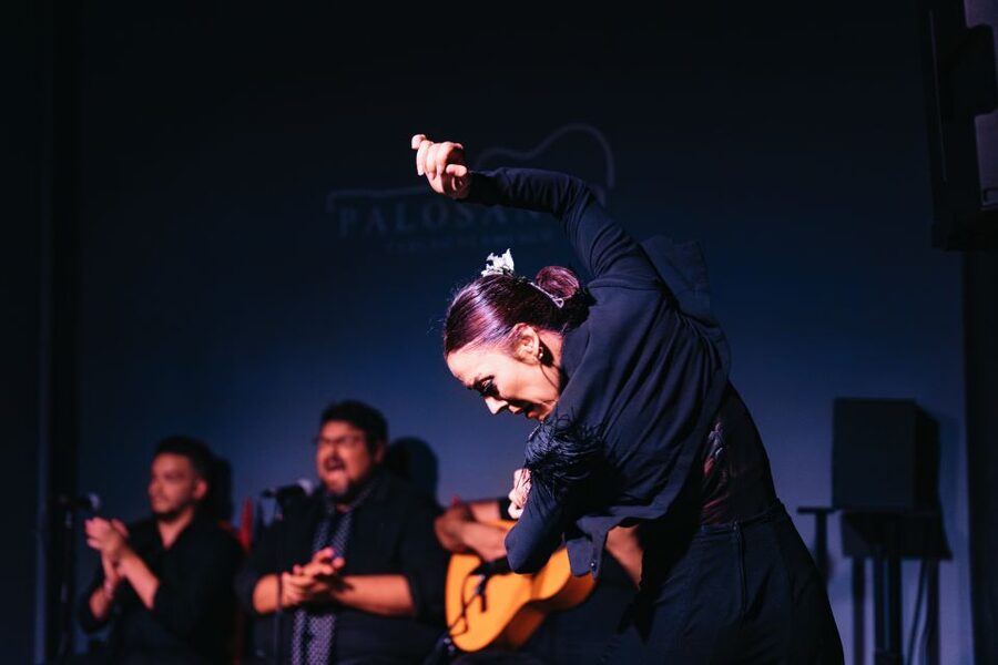 Valencia: Palosanto Flamenco Show Ticket - Finding Palosanto in Cabañal