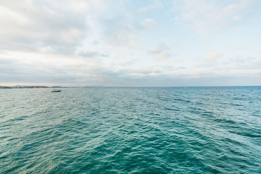 Valencia: Sunset or Daytime Catamaran Cruise with Drink - Service, language, and accessibility