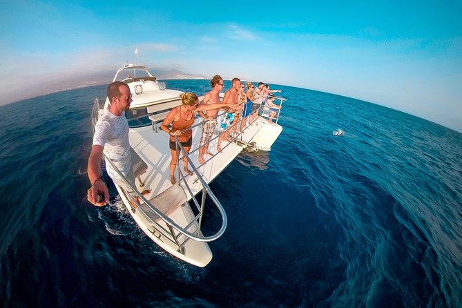 Whale and Dolphin Watching Catamaran with Transfer and Buffet - Boarding at Puerto Colón
