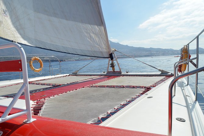 Whale watching and listening Eco-Catamaran Tour with Food Tasting - Key points to know before you book
