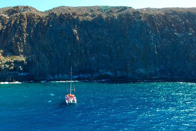 Whale watching and listening Eco-Catamaran Tour with Food Tasting - Leaving Puerto Colón for Tenerife’s whale waters