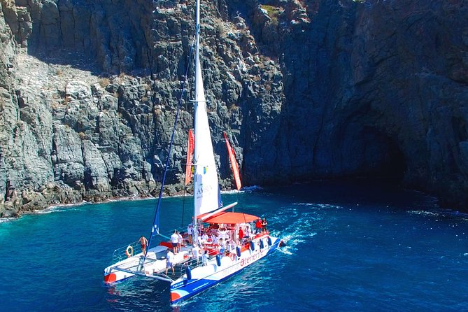 Whale watching and listening Eco-Catamaran Tour with Food Tasting - A swim stop in a sheltered bay