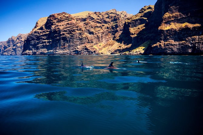 Whale watching and listening Eco-Catamaran Tour with Food Tasting - The crew, commentary, and family appeal