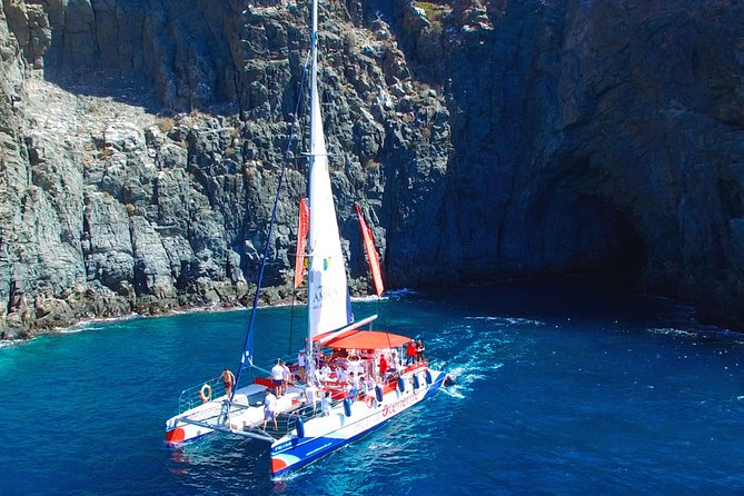 Whale watching and listening Eco-Catamaran Tour with Food Tasting - Is $48.37 good value for three hours?