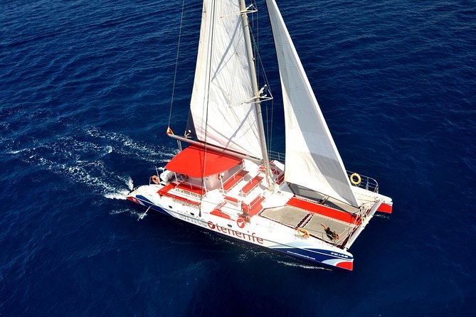 Whale watching and listening Eco-Catamaran Tour with Food Tasting - Hearing whales through the underwater microphone