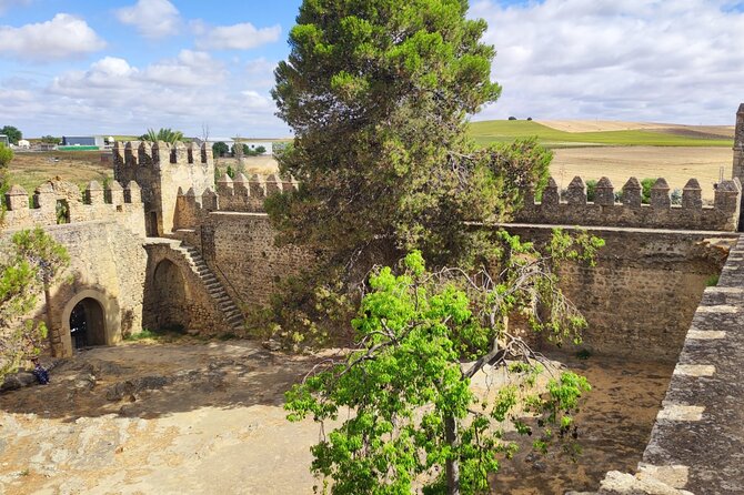 White Villages and Ronda Day Tour from Seville - The road to Ronda through cork and oak country