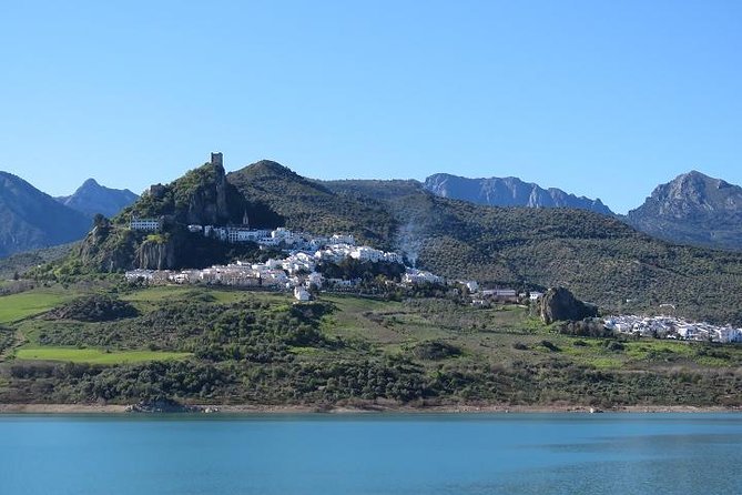 White Villages and Ronda Day Tour from Seville - Zahara de la Sierra and the olive-oil stop